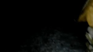 Таёжный Промысел 1ч