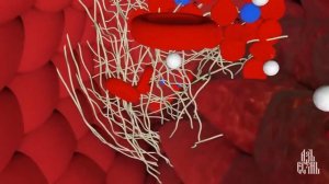 ЕСТ ТЕБЯ ЗАЖИВО