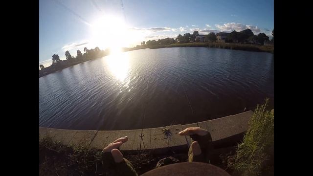 Trout fishing in Summer at Roxburgh Park смотреть онлайн