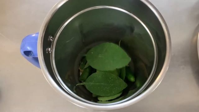 Cooling Drinks for Summer - Ayurveda Recipes - Ayurveda Hospital, Coimbatore, India, NABH смотреть онлайн