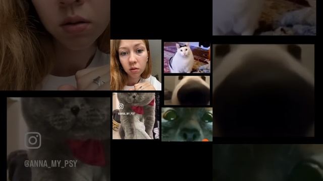 #психология #психологонлайн #психологияличности #тревога #апатия #депрессия #низкаясамооценка #юмор