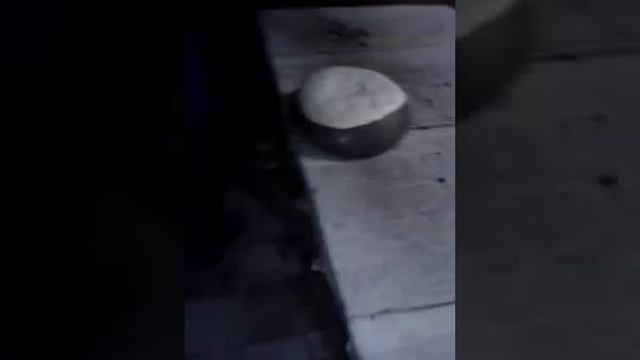 Uzbek bread Узбекские лепешки Uzbekcha Tandir Non смотреть онлайн