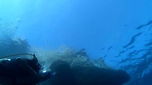 Diving expedition in Jazirat El Araneb (Palm Island) смотреть онлайн