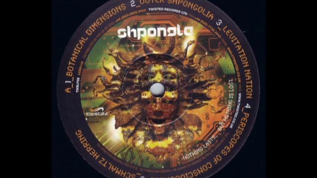 Shpongle - Levitation Nation (Side A3)
