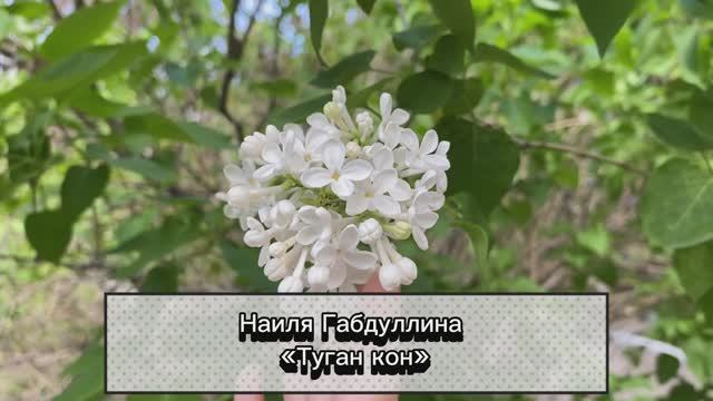 Наиля Габдиллин : «Тоган кон» типичные будни : экзамены смотреть онлайн