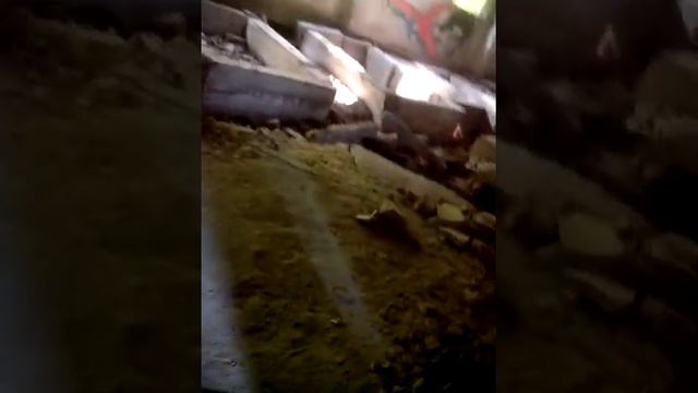 Двинкс в кемерово смотреть онлайн