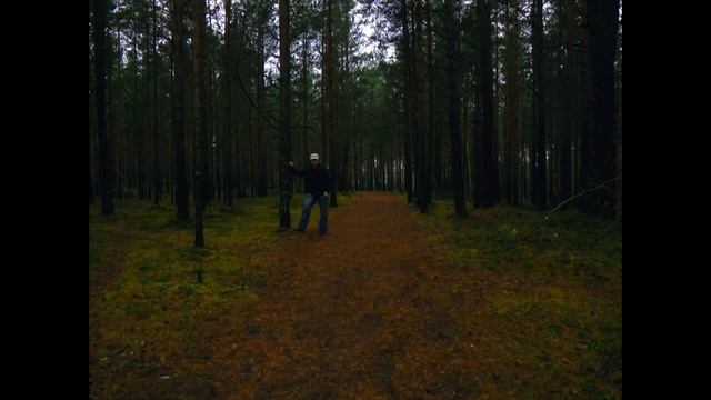 Встреча с шаровой молнией или, .....? смотреть онлайн