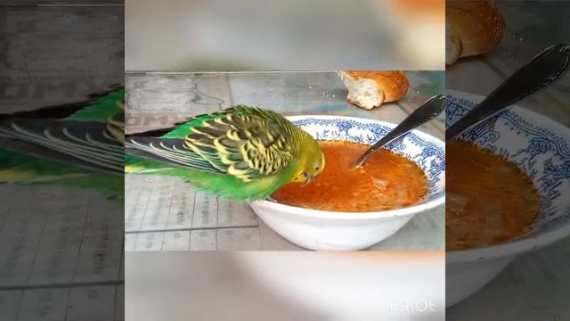 Parenting Powerhouse