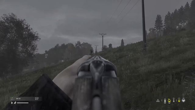 DayZ Xbox Series X смотреть онлайн