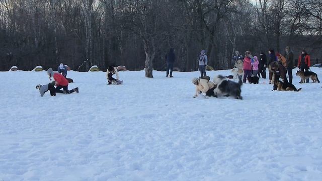 2 Весёлые старты в Орехово 15.12.13 смотреть онлайн
