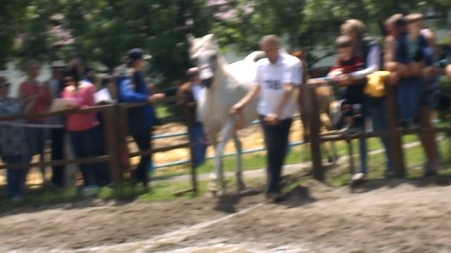 DSCN4063 Терский конный завод,Железноводск