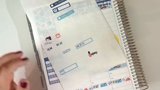 PLAN WITH ME | BIRTHDAY DAY WEEK! | ERIN CONDREN & PLANNER KATE смотреть онлайн