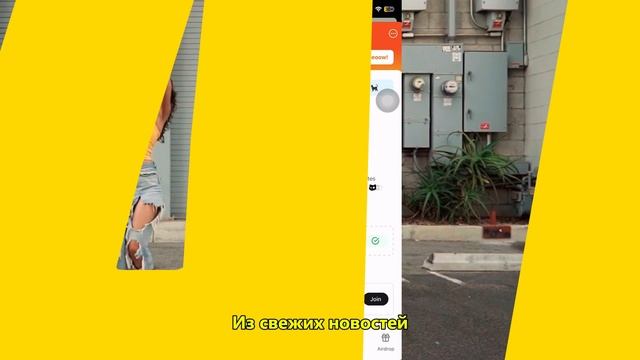Not Pixel достигла отметки в 10 миллионов игроков