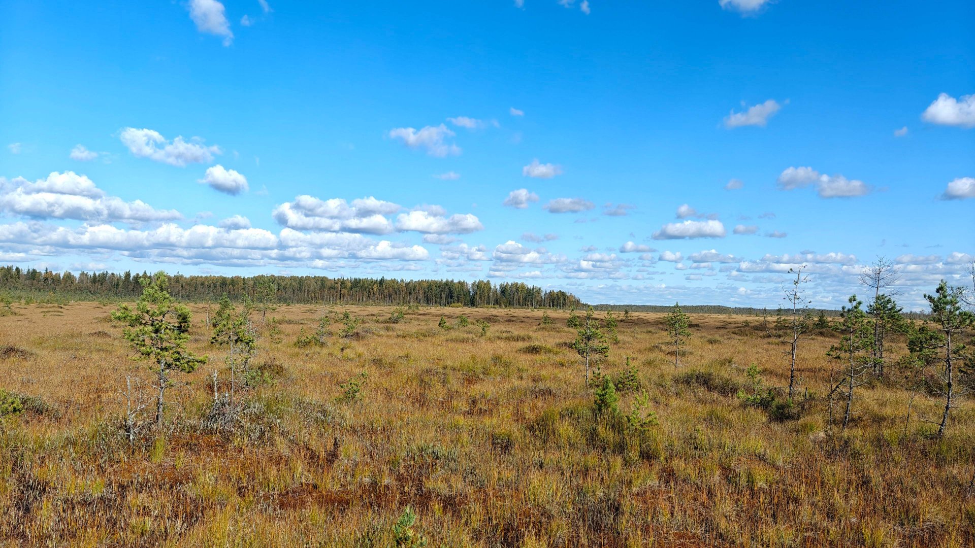 2024-09-30_Костуя-Обуховец