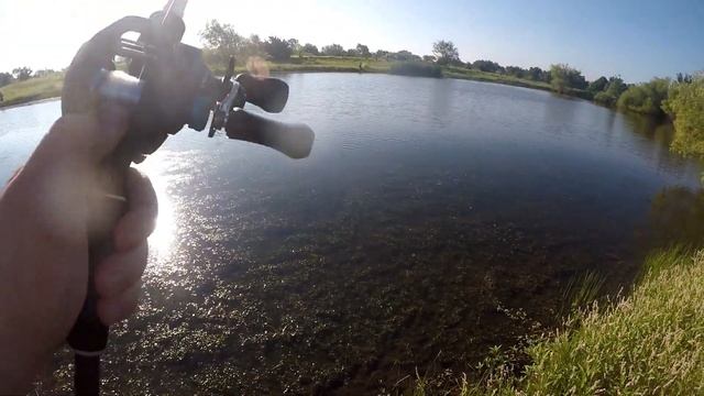 Fishing INSANE Farm Pond Full Of HUNGRY Bass | Late Summer Fishing смотреть онлайн