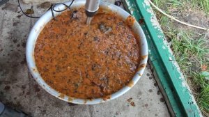 Домашнее вино из сливы - простой рецепт приготовления. Часть 1