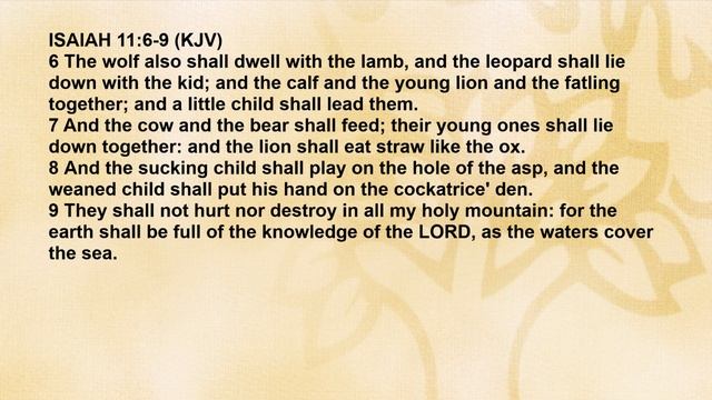 What Are The Events And Sequence Of Events For The End Times? - Bible Q&A | 28 Jan 2018 смотреть онлайн