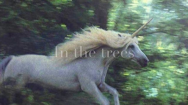 In The Sea { The Last Unicorn } смотреть онлайн