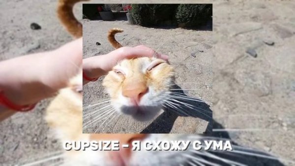 ВСЕ ПЕСНИ CUPSIZE, ПЛЕЙЛИСТ КАПСАЙЗ