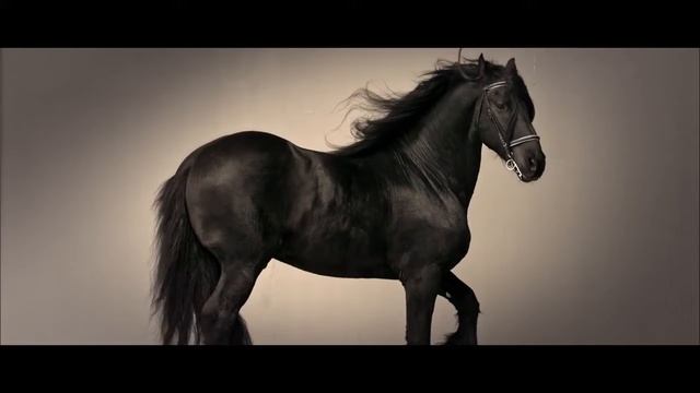 Кристиан Костов Beautiful Mess смотреть онлайн