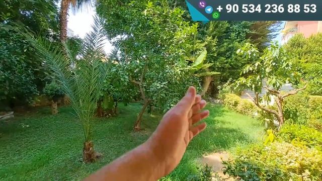 СУПЕР ПОД КЛЮЧ квартира в Алании с ВНЖ ПЕНТХАУС в Турции недвижимость для УСПЕШНЫХ смотреть онлайн