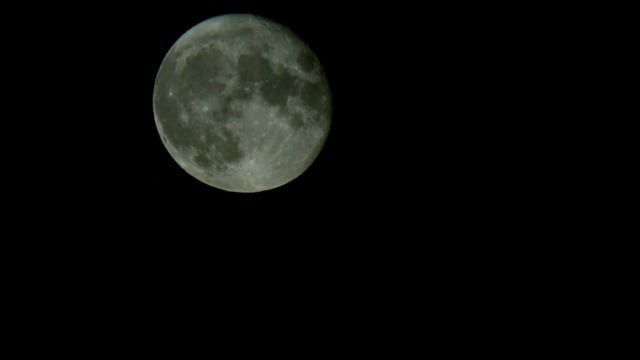 RARE BLUE MOON COLORED METAMORPHOSIS of 2021 (the last until 2023) смотреть онлайн