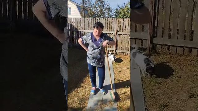 зимой снег, летом песок, осенью иголки