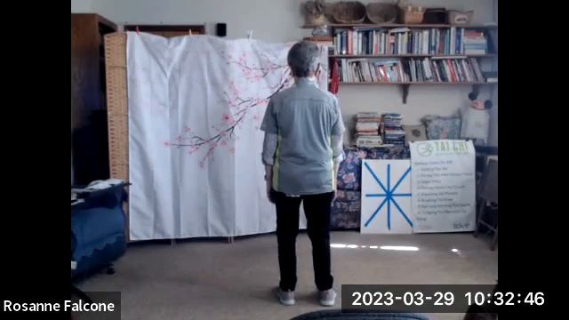 Part 3 of a 3-Part series from last TCMBB teaching class of the session смотреть онлайн