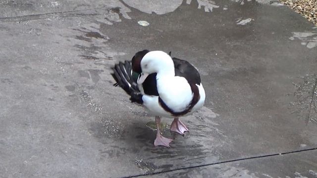 Надя Колорадо. Для чего нужны 10 лет в браке