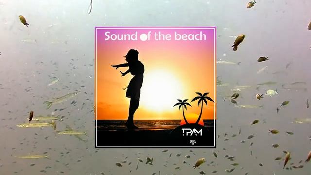I MADE SOME PROMISES (T-Pam feat. S.Gatpo) - Tropical House music смотреть онлайн