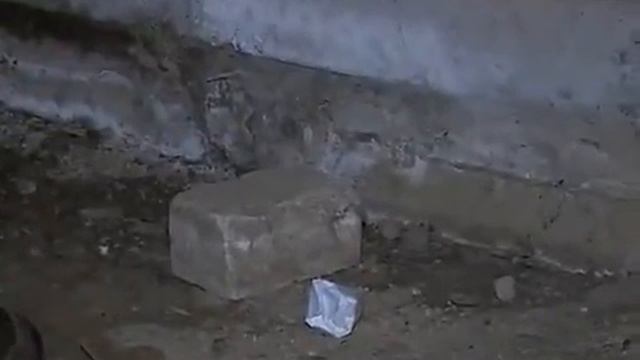 Жители многоэтажки в Череповце несколько месяцев борются с крысами