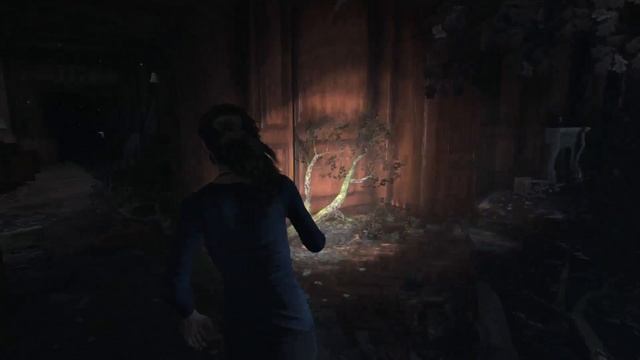 Rise of the Tomb Raider