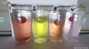 Бойлы Tехнология Рыбалки   укороченный обзор