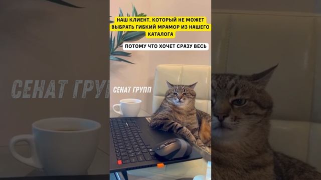 Когда Не Можешь Выбрать Гибкий мрамор ) #хочуврек #shorts #Сенатгрупп смотреть онлайн