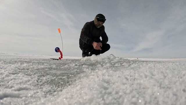 ХИТРАЖОПЫЕ ЩУКИ. РЫБАЛКА С РЫБАНУТЫМ РЫБАКОМ... смотреть онлайн