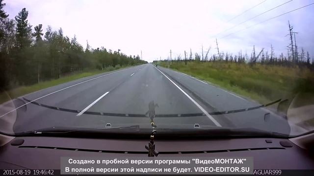 Нижневартовский район МЕДВЕДЬ смотреть онлайн