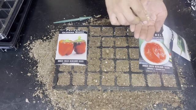 ONLY USING RARE SEEDS for my garden 2021 | Things you SHOULD know! смотреть онлайн