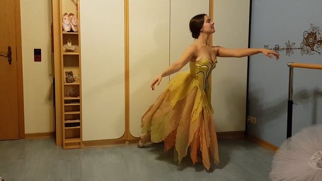 social disDANCEing continues | Ballett zu Hause Dank Corona смотреть онлайн