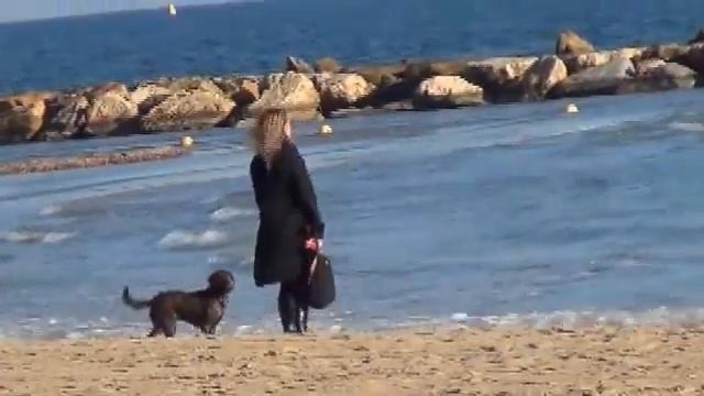 Nadar en invierno, Alicante / Купаются ли в Аликанте зимой? 07.12.2013 смотреть онлайн