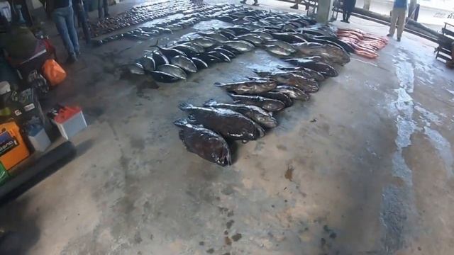 BurmaBank fishing trip 21 - 26 Oct 2019 Last day fishing смотреть онлайн