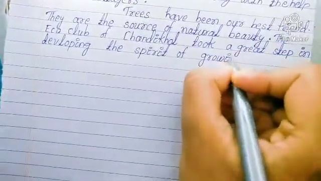 Write A Report On Tree Plantation Programme In Your School