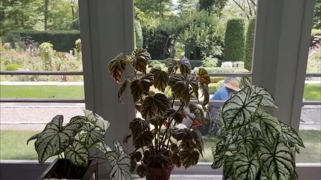 A Closer Look: Bunny Williams Connecticut Country Home and Gardens Tour | Cultured Elegance смотреть онлайн