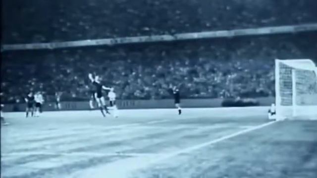 David Kipiani - " Professor " смотреть онлайн