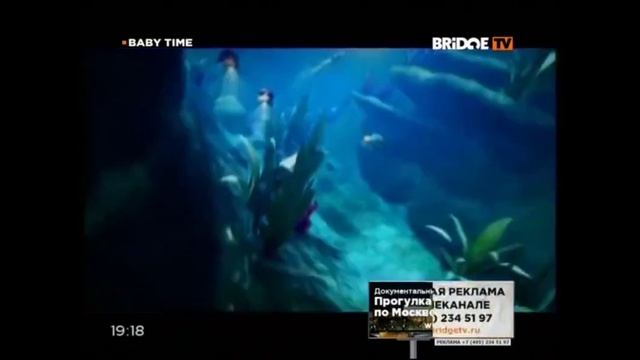 Crazy Frog - Popcorn (Baby Time) [BRIDGE TV] смотреть онлайн