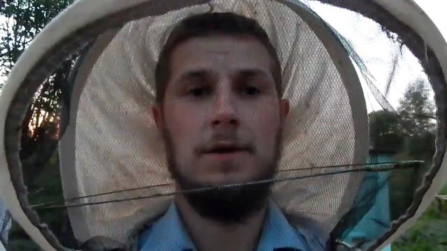 Сажаем рой в улей смотреть онлайн