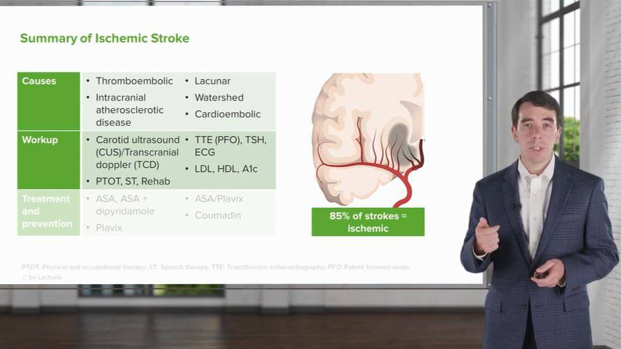 Инсульт. Ишемический и геморрагический. Обзор | Клиническая неврология смотреть онлайн