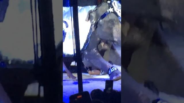 5 тонн даже смотреть страшно смотреть онлайн