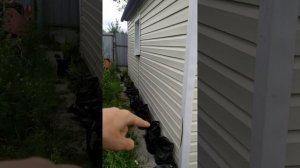 Идеи #вертикальный #безуходный #огород для рассады и растений. #Фитильный полив