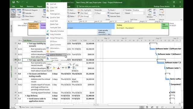Microsoft Project | Timeline basics and formatting tips смотреть онлайн