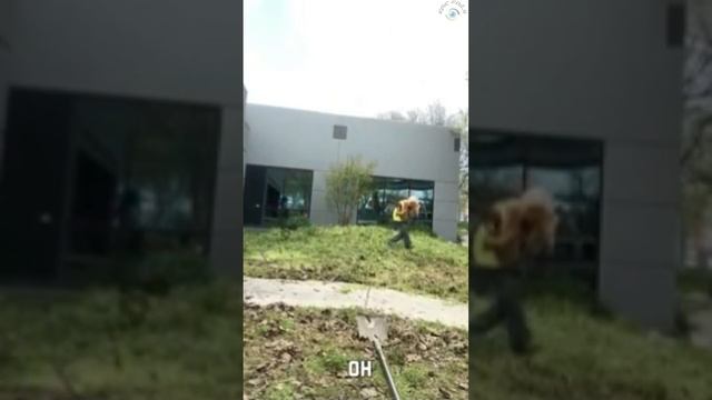 Смешные моменты🤭Эпик Фейлы😁Прикол😆Ржака😂Угар🤣#61 смотреть онлайн